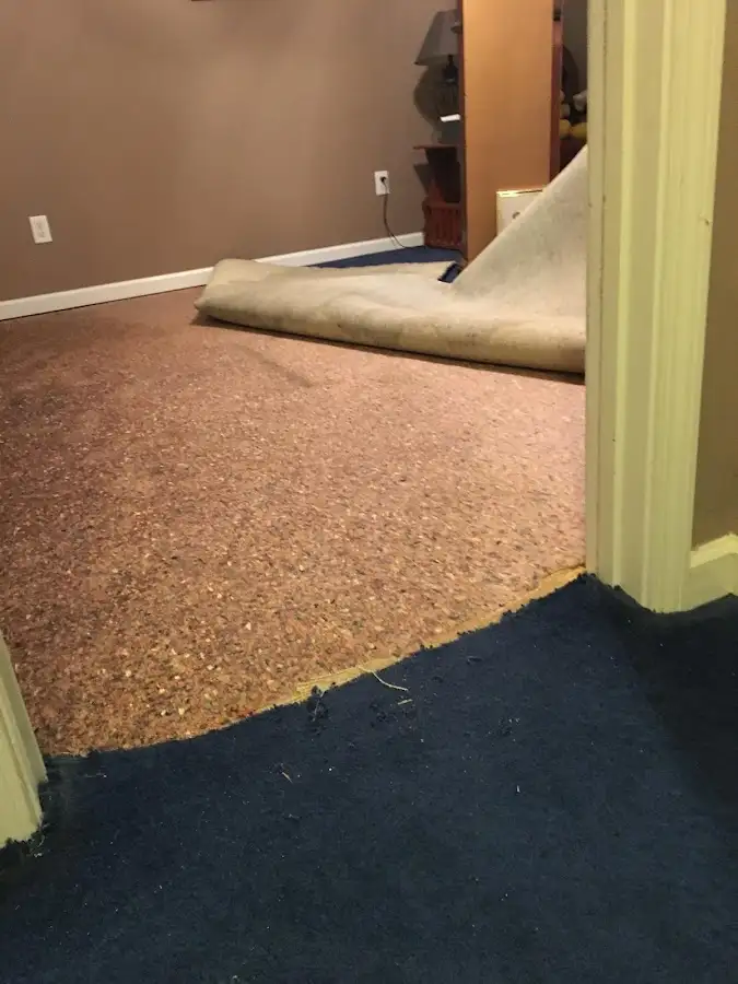 Carpet pad removal revealing water damage during Drying & Dehumidification in Gladewater
