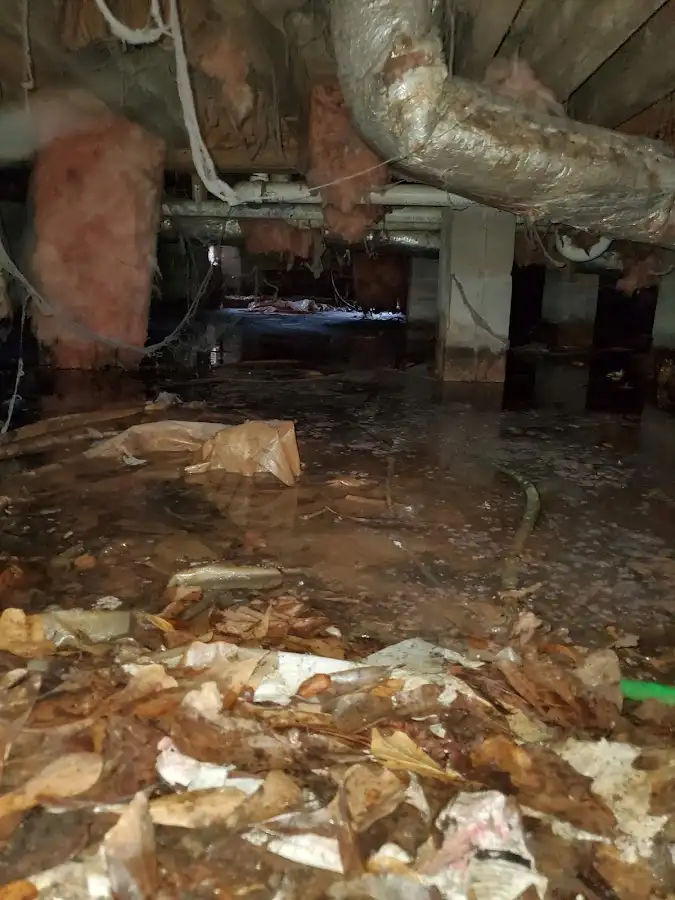 Crawl space flood assessment for Commercial Water Damage Restoration in Gladewater