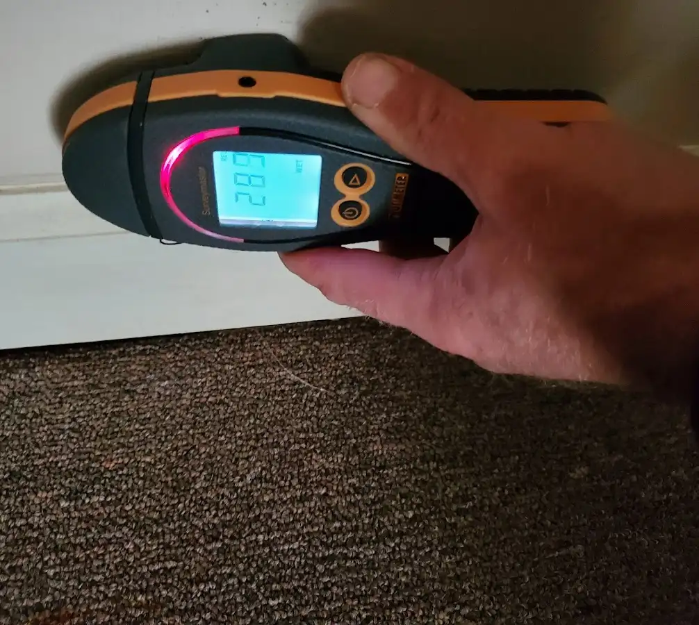 Moisture detection at baseboard during Mold Inspection & Testing in Gladewater